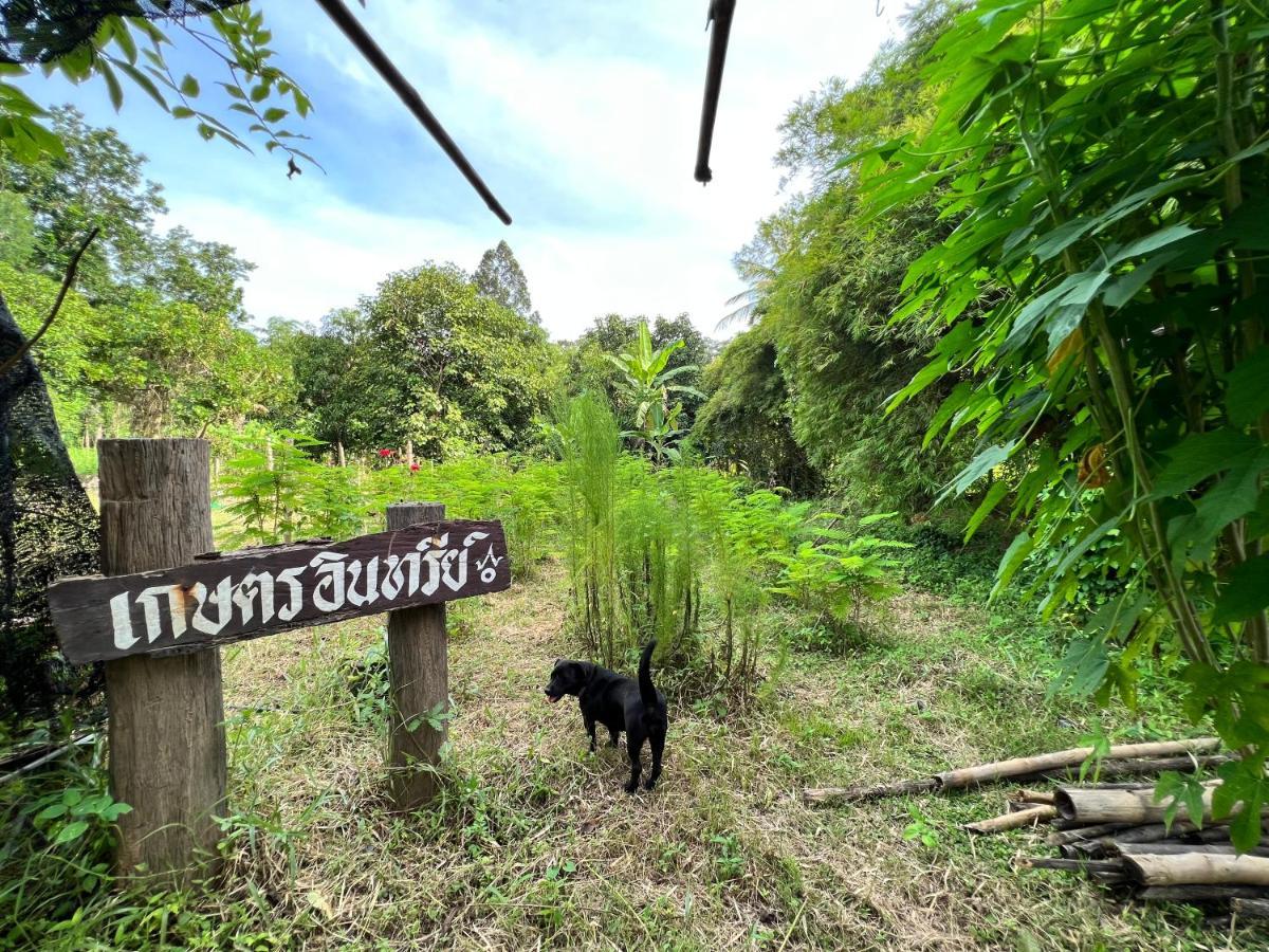 Ban Mai  Phow Homestay מראה חיצוני תמונה