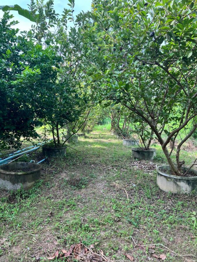 Ban Mai  Phow Homestay מראה חיצוני תמונה
