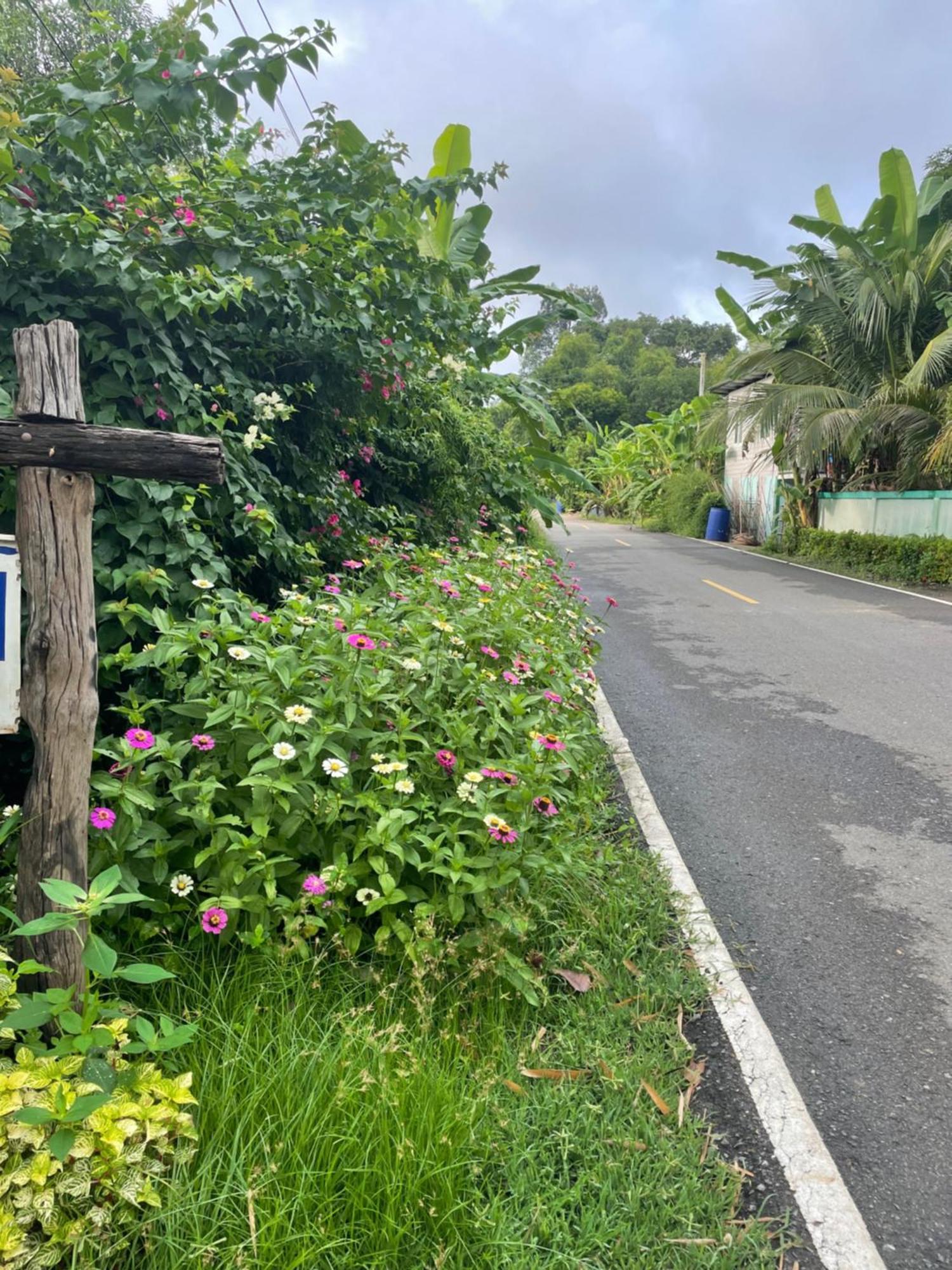Ban Mai  Phow Homestay מראה חיצוני תמונה